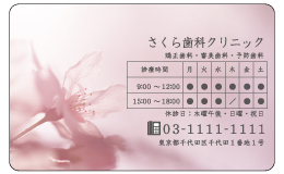 診察券 fw_028_カラー印刷